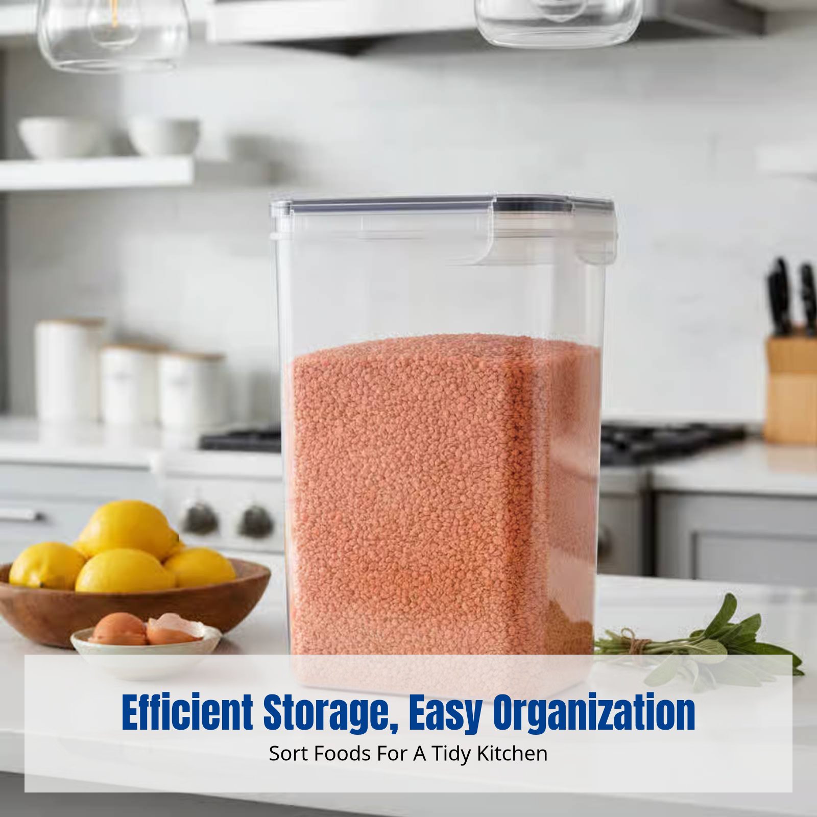 Airtight Food Storage Containe - Food Storage Refrigerator ulasan dan harga