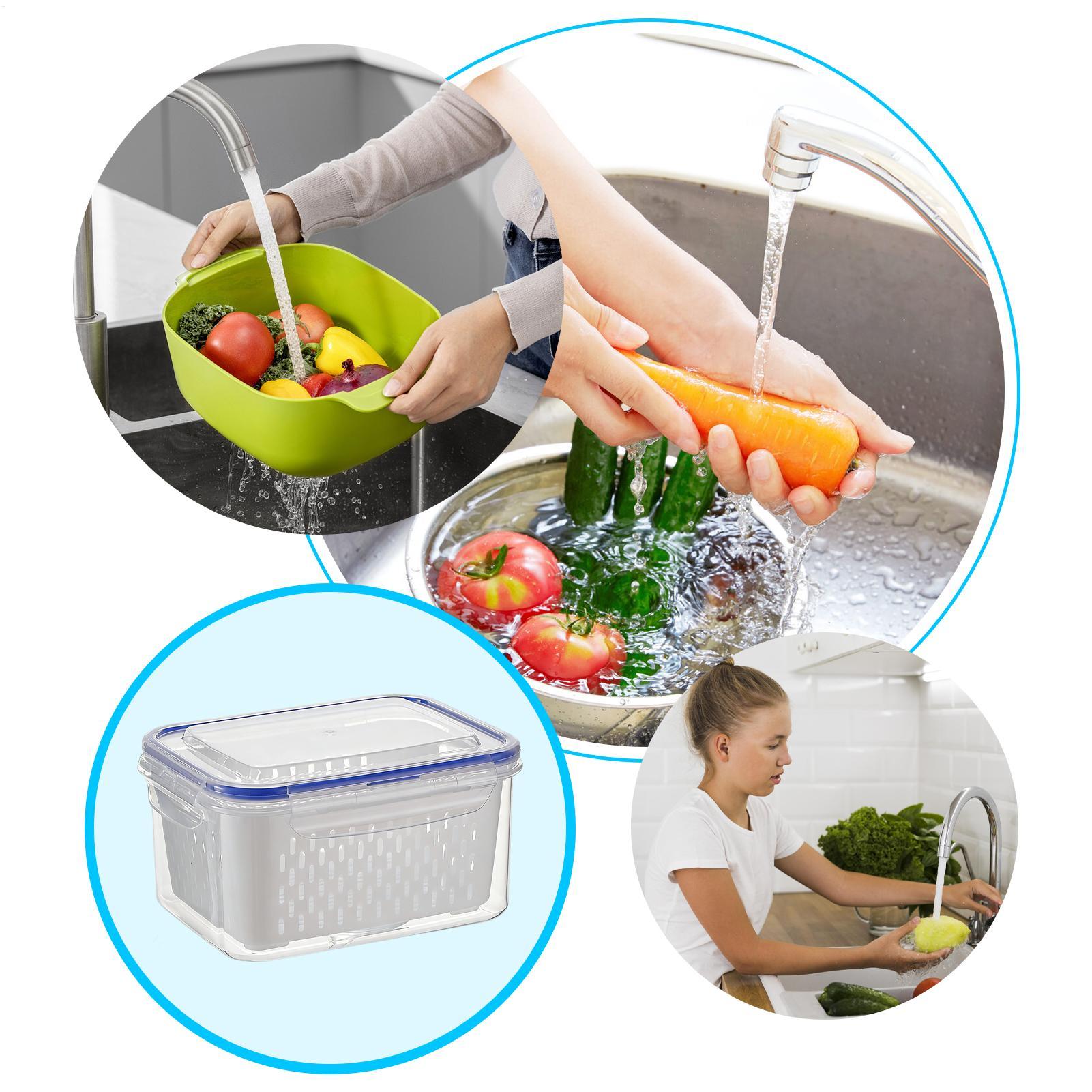 4 In 1 Food Storage Container  - Food Storage Refrigerator ulasan dan harga
