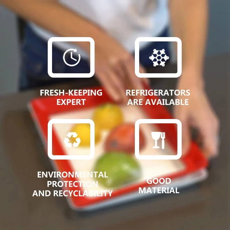 Food Preservation Tray PP Reus - Food Storage Food Safety ulasan dan harga