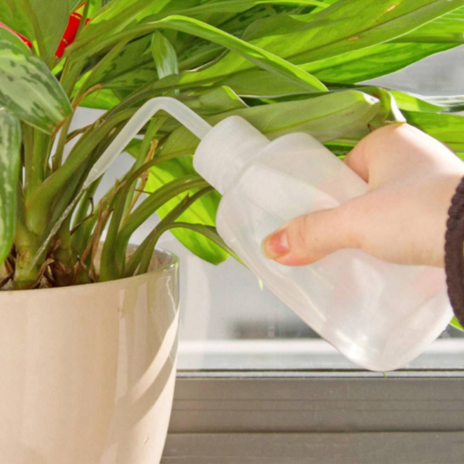 Squeeze Wash Bottle 250ml Safe - Food Storage Food Safety ulasan dan harga