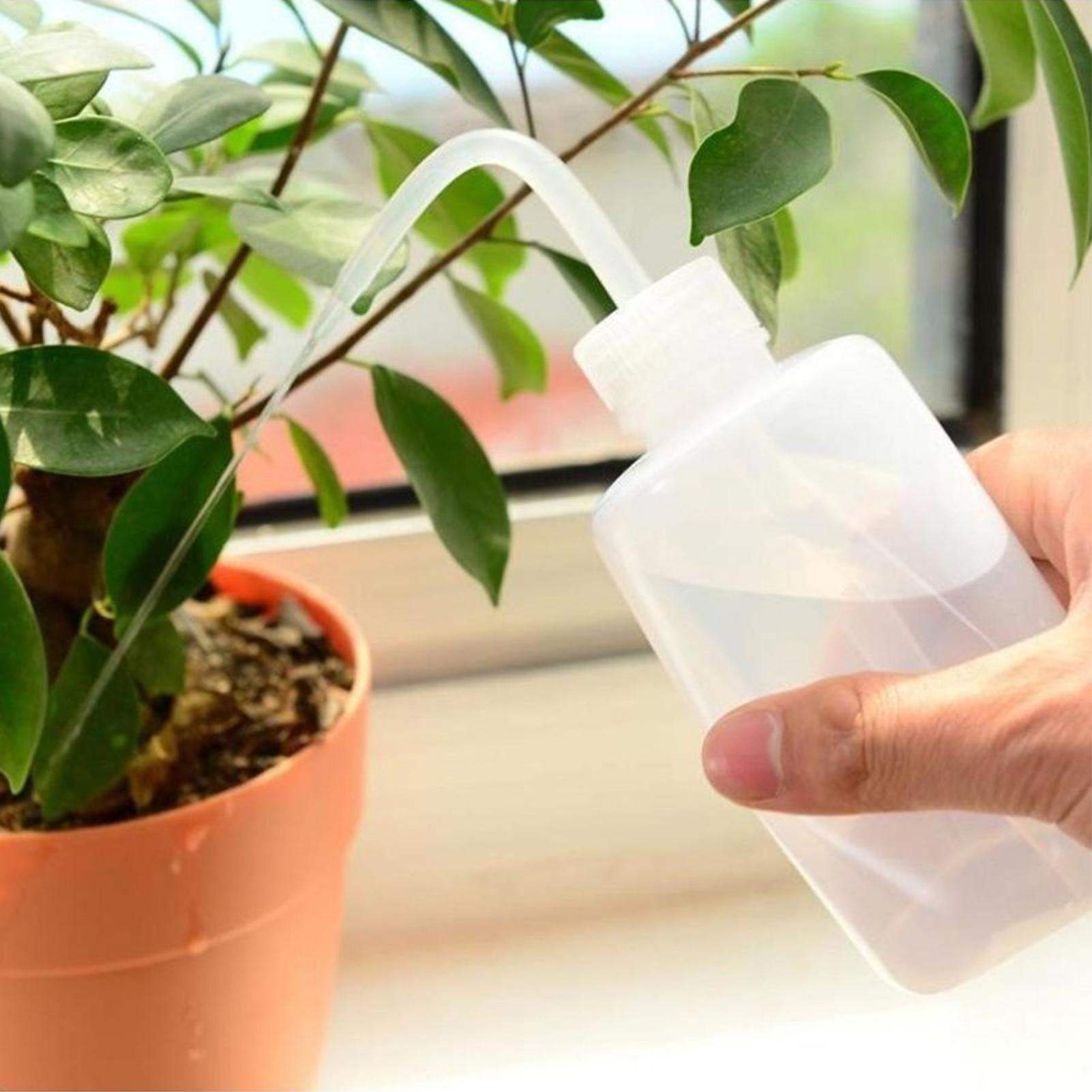 Squeeze Wash Bottle 250ml Safe - Food Storage Food Safety ulasan dan harga