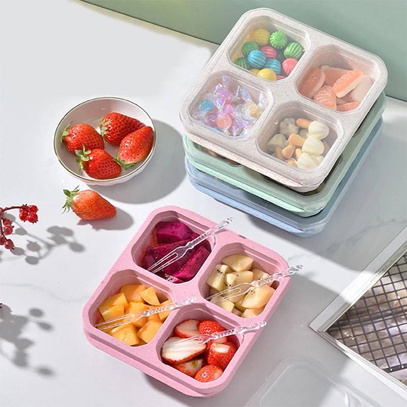 4 Grids Food Storage Box Porta - Food Storage Freezer ulasan dan harga