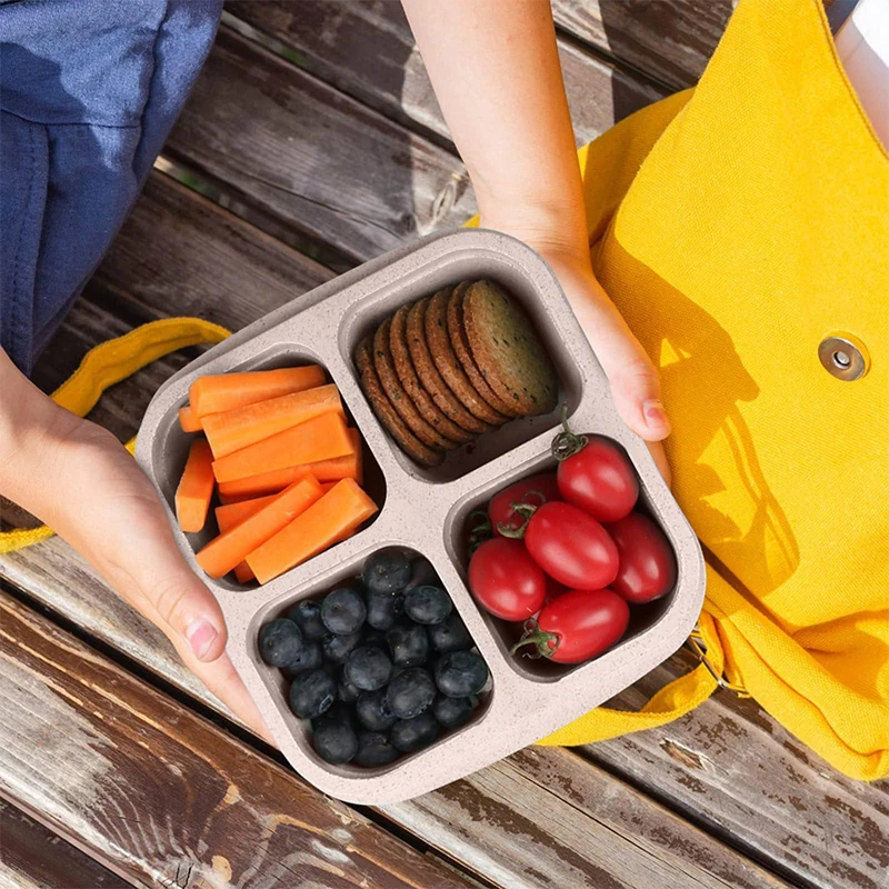 4 Grids Food Storage Box Porta - Food Storage Freezer ulasan dan harga