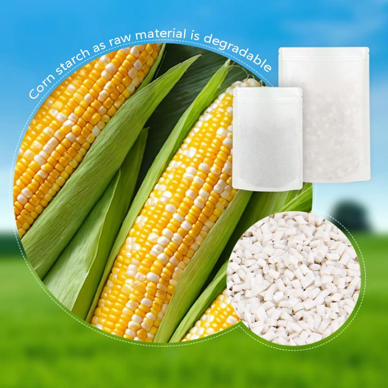 Customized Degradable Kraft Pa - Zebra Food Storage ulasan dan harga