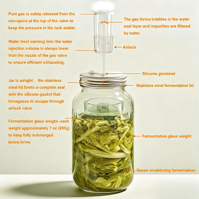 Fermentation Kit, Wide Mouth M - Mason Jar Wide Mouth ulasan dan harga
