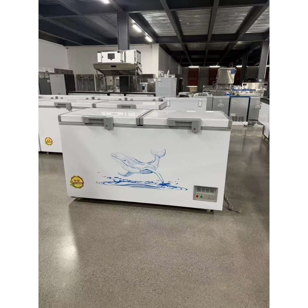 Wholesale Custom Horizontal Ch - Food Storage Freezer ulasan dan harga
