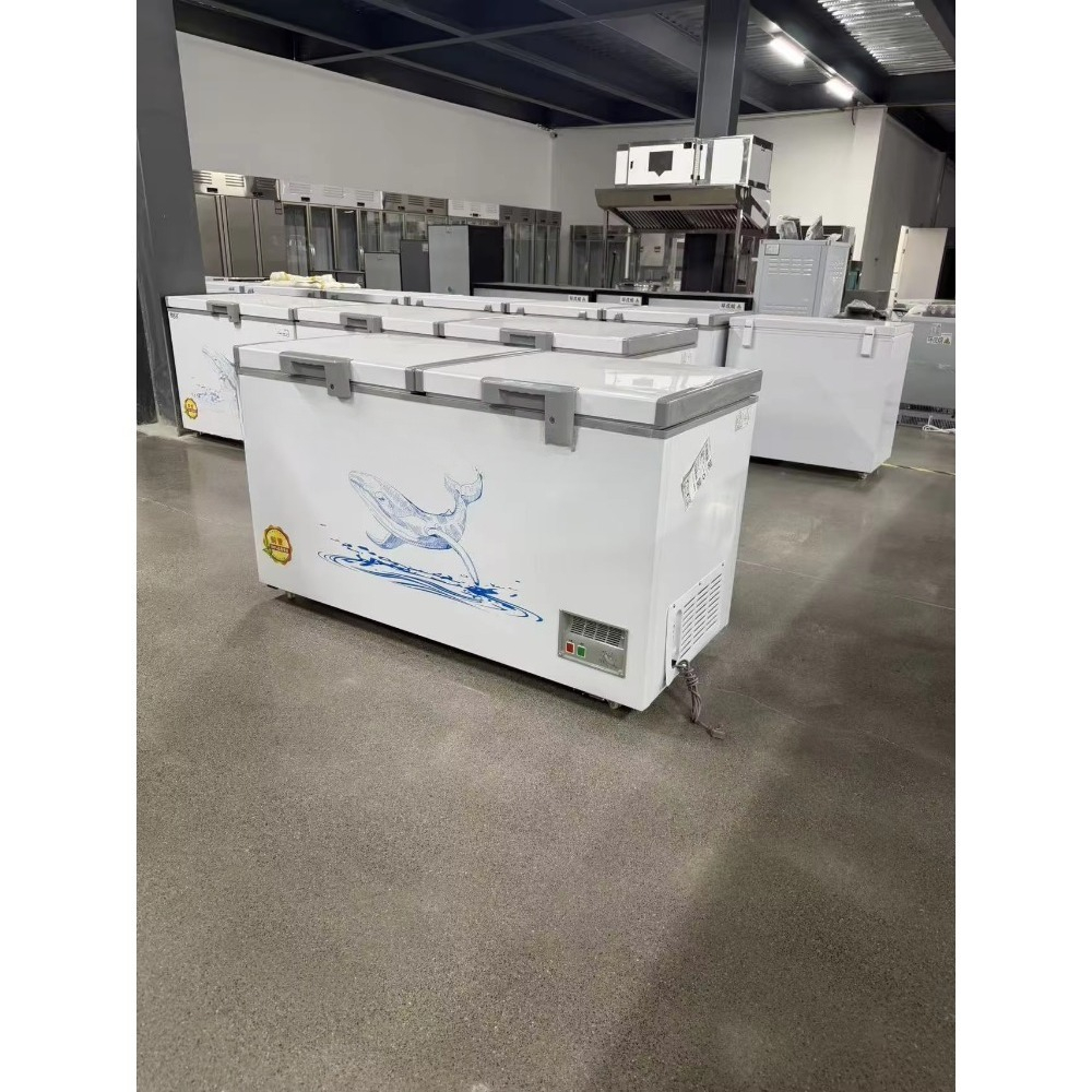 Wholesale Custom Horizontal Ch - Food Storage Freezer ulasan dan harga