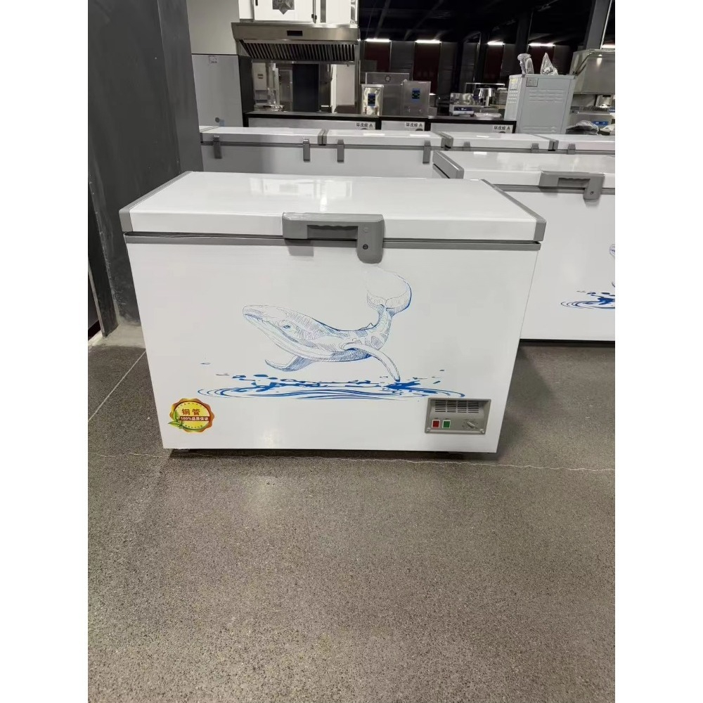 Wholesale Custom Horizontal Ch - Food Storage Freezer ulasan dan harga